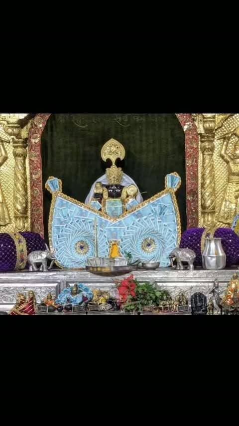 🙏 श्री सांवरिया सेठ जी मंगला आरती दर्शन | आज दिनांक 11 अक्टूबर 2026
🚩 ब्राह्मण समाज के युवाओं की अनूठी पहल! झांतला माता मंदिर परिसर में स्वच्छता अभियान चलाकर दिया समाजसेवा और राष्ट्रसेवा का संदेश | श्री सांवरिया सेठ जी के पावन मंगला आरती दर्शन के साथ जय श्री सांवरिया सेठ 🙏🌹