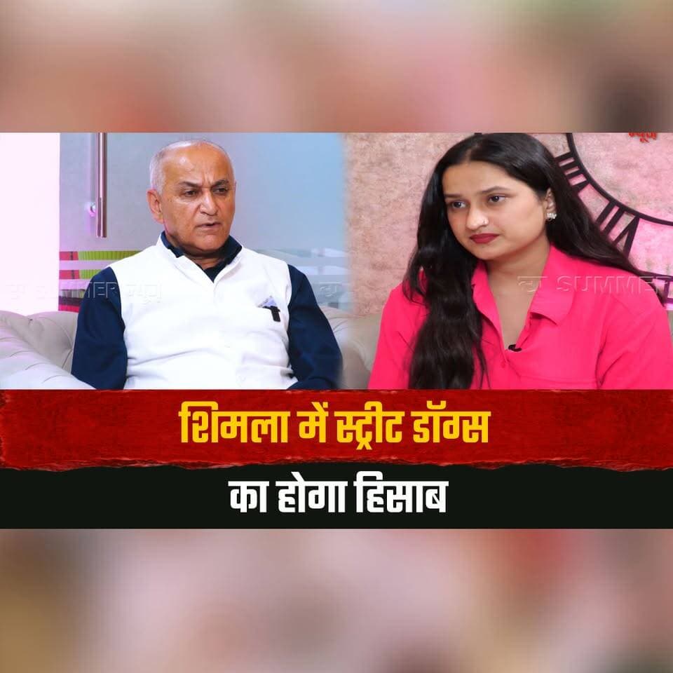 शिमला में स्ट्रीट डॉग्स का होगा हिसाब
"एग्रेसिव डॉग को बाहर नहीं आने देना चाहिए" -सुरेंद्र चौहान
#Shimla #StreetDogs #SurenderChauhan #ShimlaMayor #DogManagement #AnimalWelfare #PublicSafety #ShimlaNews #HimachalPradesh #HimachalNews #thesummernewshimachal