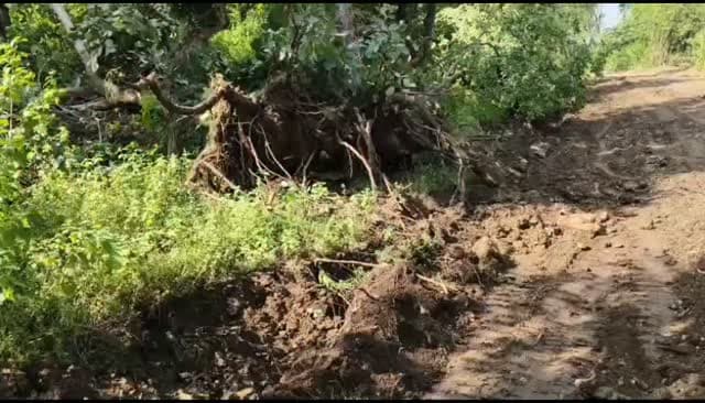 Satna- कोटर रामपुर बाघेलान जनपद पंचायत के तिहाई ग्राम पंचायत में एक बार फिर हुआ गणागडित का खेल, लंबे समय तक सरपंच एवं सचिव के विवादों में रहे ग्राम पंचायत में सरपंच एवं सचिव के समझौते के बाद तिहाई ग्राम पंचायत में लगभग 15 वर्ष पदस्थ रहे सचिव ने बकिया बैलों में पदस्थापना करवाने के बाद लिया एक बार फिर लिया तिहाई ग्राम पंचायत का प्रभार , बिना किसी पूर्व स्वीकृति के ग्राम पंचायत ने तिहाई से बम्हौरी मार्ग का शुरू किया निर्माण कार्य , बना अनुमति के किया बड़े पैमाने पर वृक्षों को धराशाई, सड़क के निर्माण स्थल पर नहीं लगा सूचना पटल का बोर्ड , न सड़क में रोड़ रोलिंग ।
Credit- Mahendra Singh