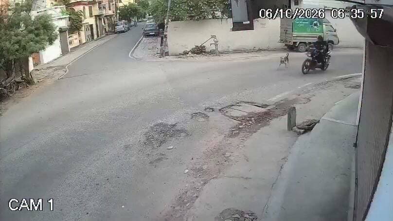 लखनऊ में कुत्ता भौंका, तो गार्ड ने गोली मार दी
बाइक रोककर उतरा, कंधे से राइफल उतारकर निशाना लगाया और मार दी गोली। CCTV में कैद हुआ पूरा घटनाक्रम