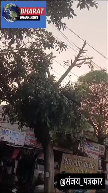 मेरठ के कंकरखेड़ा बायपास से पहले मेन रोड पर बिना वन विभाग की अनुमति के हरे-भरे पेड़ काटे जा रहे है।