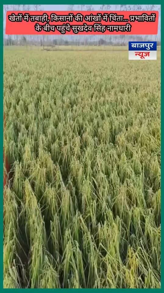खेतों में तबाही, किसानों की आंखों में चिंता… प्रभावितों के बीच पहुंचे सुखदेव सिंह नामधारी