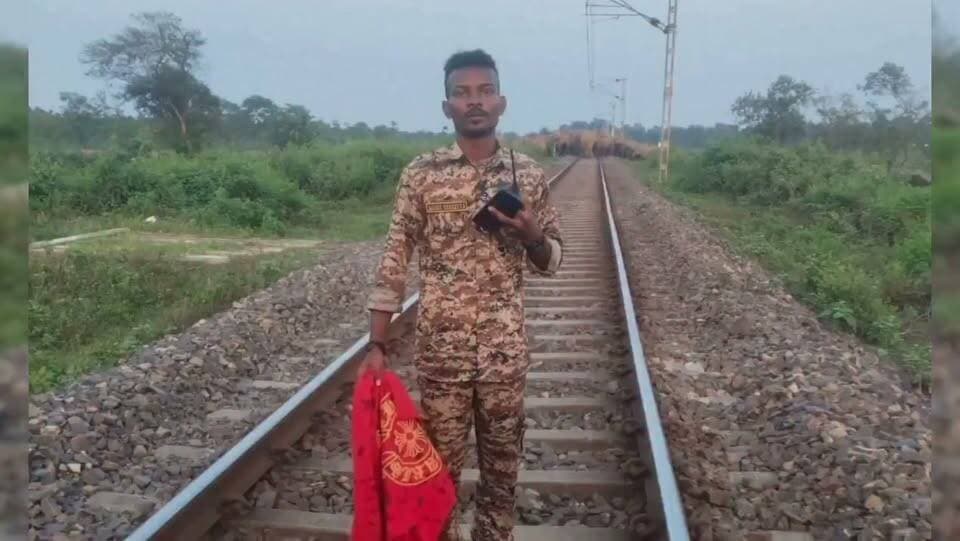 লাল কাপড় দেখিয়ে হাতির প্রাণ বাঁচালেন বনকর্মীরা