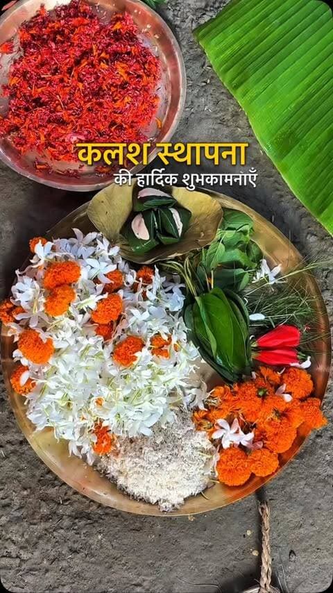 📍कलश स्थापना की हार्दिक शुभकामनाएँ🙏❤️🌺🪷
उर्दू बाज़ार दरभंगा 🙏जय माता दी🙏
.
.
.
@the_ritesh07
.
.
.
#daurgapujo #viral #viralreels #travelling #trendingreels