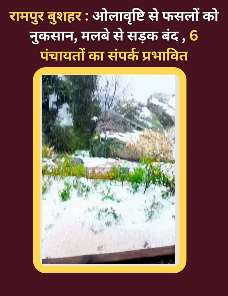 रामपुर बुशहर : ओलावृष्टि से फसलों को नुकसान, मलबे से सड़क बंद; 6 पंचायतों का संपर्क प्रभावित
रामपुर बुशहर के ज्यूरी और सराहन क्षेत्रों में भारी ओलावृष्टि से मटर, राजमाह समेत अन्य फसलों को नुकसान पहुंचा है। वहीं, ज्यूरी-गानवी सड़क पर पेरी नाले के पास मलबा आने से मार्ग बंद हो गया, जिससे छह पंचायतों का संपर्क प्रभावित होने की सूचना है। किसानों ने नुकसान का आकलन और प्रशासन से उचित सहायता की मांग की है।
#RampurBushahr #Jury #Sarahan #HimachalNews #HimachalWeather #किसान #ओलावृष्टि #ChambaExpress