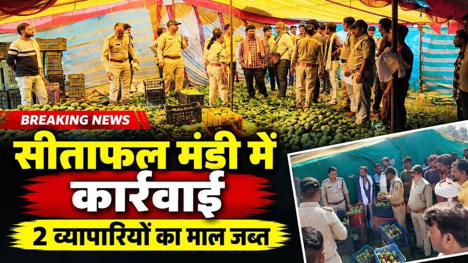 प्रतिबंध के बावजूद बाजार पहुंचा सीताफल, वन विभाग ने व्यापारियों का माल किया जब्त!
इस कार्रवाई के बाद सीताफल मंडी में हड़कंप मच गया। प्रतिबंध का उल्लंघन करने वालों पर नियमानुसार कार्रवाई की जा सकती है।
📲 सिवनी जिले की ताजा और बड़ी खबरों के लिए जुड़े रहें — HK News Seoni
#Seoni #Chhapara #Sitaphal #JumboSitaphal #ForestDepartment #BreakingNews #HKNewsSeoni #सिवनी #छपारा #सीताफल #वनविभाग