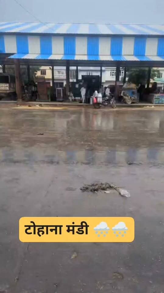 टोहाना मंडी 🌨️🌨️ जोरदार बारिश
