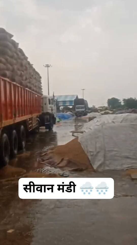 सीवान मंडी 🌨️🌨️🌨️🌨️