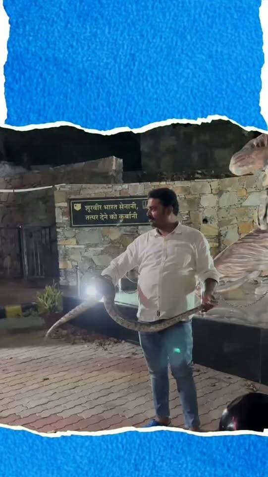 उदयपुर के एकलिंगगढ़ छावनी क्षेत्र में उस समय हड़कंप मच गया, जब वहां करीब 8 फीट लंबा एक विशाल अजगर देखा गया। सैन्य छावनी परिसर में भारी-भरकम सांप के दिखने से स्थानीय लोगों और सुरक्षाकर्मियों में चिंता फैल गई। सूचना मिलने पर शहर के प्रसिद्ध स्नेक रेस्क्यूअर धर्मेंद्र पनिगर तुरंत मौके पर पहुंचे। उन्होंने अपनी पेशेवर कुशलता से अजगर का सुरक्षित रेस्क्यू किया और उसे किसी नुकसान के बिना सुरक्षित जंगल में छोड़ दिया। धर्मेंद्र पनिगर उदयपुर में 24/7 निःशुल्क स्नेक रेस्क्यू सेवा देते हैं। उन्होंने अपील की है कि कहीं भी सांप दिखने पर घबराएं नहीं और तुरंत हेल्पलाइन नंबर 9829116905 पर संपर्क करें।
#UdaipurNews
#PythonRescue
#SnakeCatcher
#WildlifeRescue
#DharmendraPanigar
