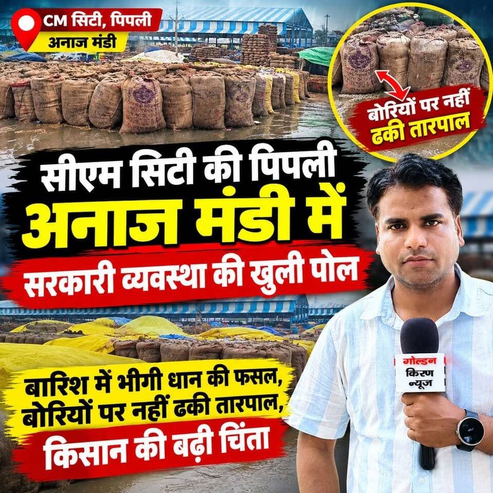 CM सिटी की पिपली अनाज मंडी में सरकारी व्यवस्था की खुली पोल, बारिश में भीगी धान की फसल, बोरियों पर नहीं ढकी तारपाल,किसान की बढ़ी चिंता