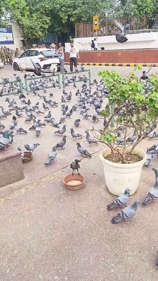दिल्ली का दिल
