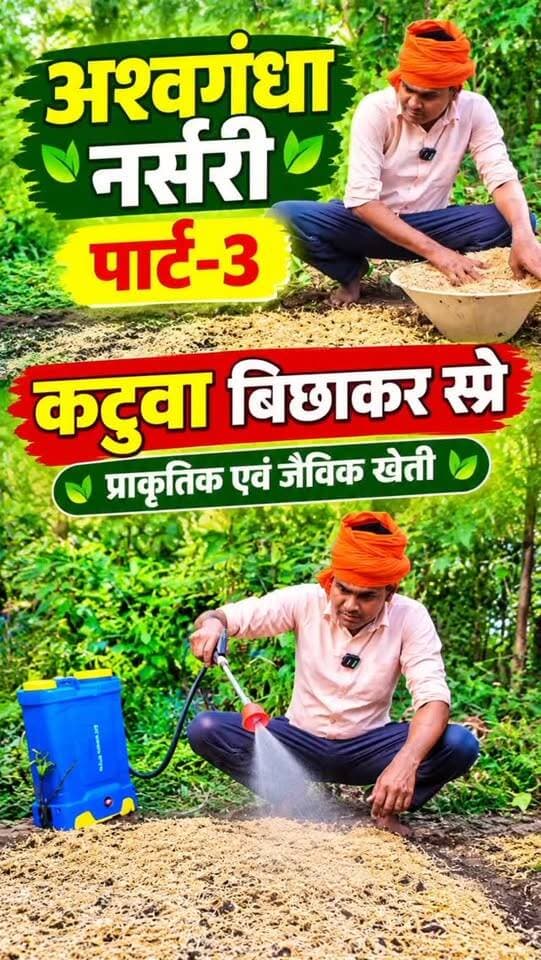 लेखन
🌱🌿 अश्वगंधा नर्सरी की तैयारी | पार्ट-3 🌿
🙏 अश्वगंधा के बीज बोने के बाद नर्सरी पर कटुवा बिछाया जा रहा है और मशीन की सहायता से स्प्रे किया जा रहा है। 🚜🌱
🍀 प्राकृतिक एवं जैविक खेती की ओर एक कदम। 🌾 स्वस्थ मिट्टी • स्वस्थ फसल • स्वस्थ जीवन
वीडियो पसंद आए तो लाइक 👍 करें और किसानों तक जरूर शेयर करें। 🙏
#अश्वगंधा #जैविकखेती #प्राकृतिकखेती #AshwagandhaFarming #OrganicFarming