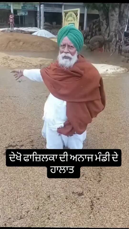 ਦੇਖੋ ਫਾਜ਼ਿਲਕਾ ਦੀ ਅਨਾਜ ਮੰਡੀ ਦੇ ਹਾਲਾਤ
