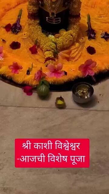 श्री काशी विश्वेश्वर आजची विशेष पूजा#tv9 #टीव्ही9मराठी #marathinews#duet #mahadev#mahakal#om