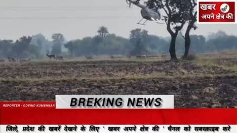 फसल क्षति कम करने के लिए कृष्णमृग स्थानांतरण अभियान जारी,द्वितीय दिवस 79 कृष्णमृगों का सफल रेस्क्यू