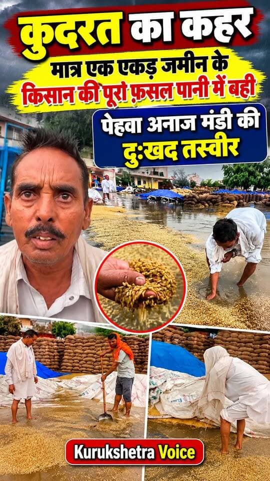 कुदरत का कहर
मात्र एक एकड़ जमीन के किसान की पूरी फसल पानी में बही, पेहवा अनाज मंडी की दुःखद तस्वीर
#kurukshetravoice