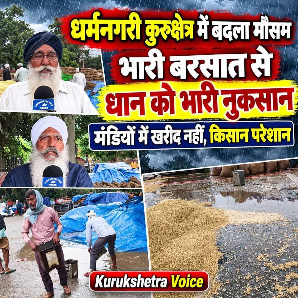 धर्मनगरी कुरुक्षेत्र में अचानक से बदला मौसम , भारी बरसात से धान की फसल को भारी नुकसान, मंडियों में खरीद नहीं होने से किसान परेशान
#kurukshetravoice