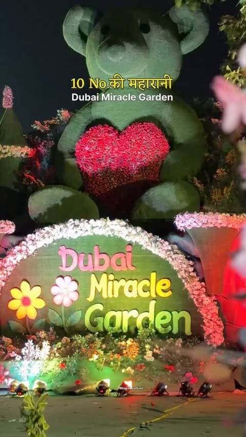 dubai miracle Garden की थीम पर आधारित बनी खूबसूरत झांकी 🙌
#bhopal #10nambermarketbhopal #smartparking #jaymatadi #bhopal_culture