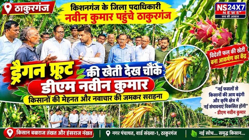 सीमांचल में विदेशी फल की खेती का कमाल, ड्रैगन फ्रूट के खेत पहुंचे डीएम नवीन कुमार