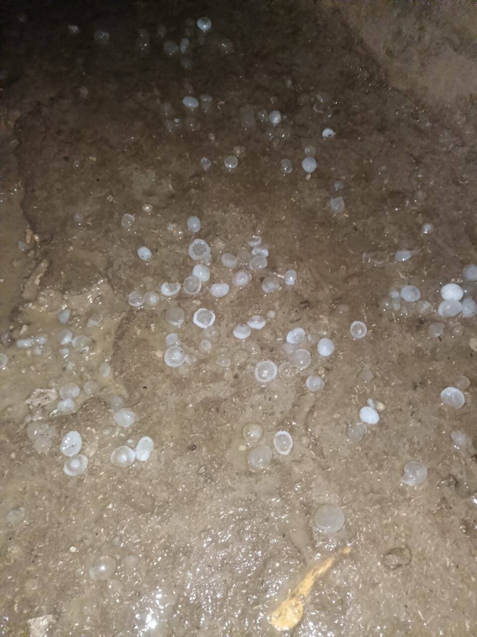 मोहनगढ़ नहरी क्षेत्र के सुथारमंडी के 29 PD पर हुई ओलावृष्टि... किसानों के चेहरे पर छाई चिंता की लकीरें....
<nis:link nis:type=tag nis:id=jaisalmer nis:value=jaisalmer nis:enabled=true nis:link/> <nis:link nis:type=tag nis:id=barmer nis:value=barmer nis:enabled=true nis:link/> <nis:link nis:type=tag nis:id=bikaner nis:value=Bikaner nis:enabled=true nis:link/> <nis:link nis:type=tag nis:id=jodhpur nis:value=jodhpur nis:enabled=true nis:link/>