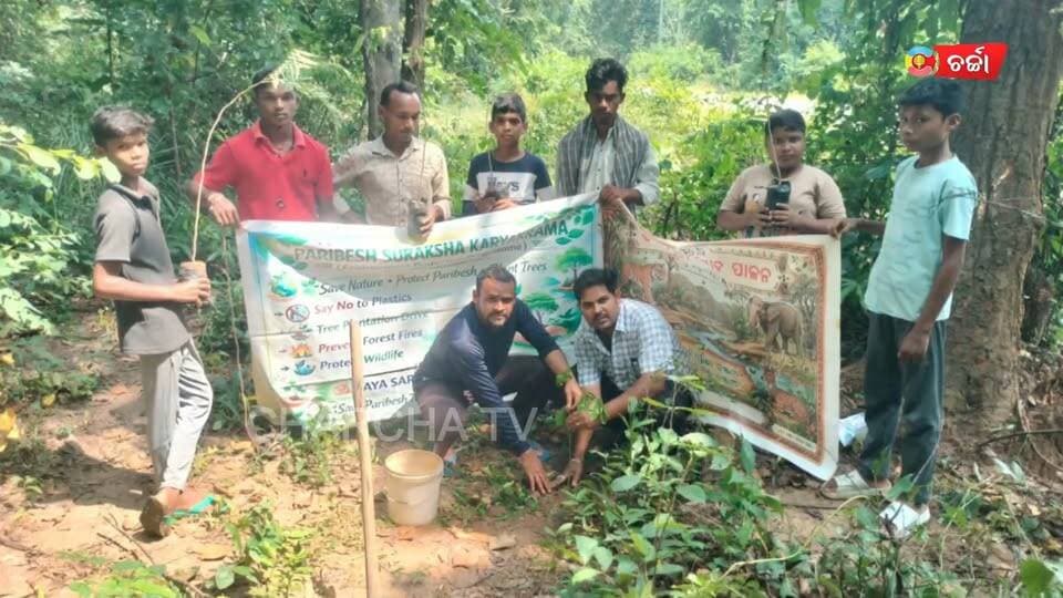 #ବନ୍ୟପ୍ରାଣୀ_ସପ୍ତାହ_ପାଳନ_ଅବସରରେ_ଜଙ୍ଗଲ_ସ୍ୱଚ୍ଛତା_ଓ_ବୃକ୍ଷ_ରୋପଣ
ଜଙ୍ଗଲ ସ୍ୱଚ୍ଛତା, ଚାରଣଭୂମିର ସୁରକ୍ଷା, ବନ୍ୟପ୍ରାଣୀ ସଂରକ୍ଷଣ ଓ ଜୈବବିବିଧତାର ରକ୍ଷା ଉଦ୍ଦେଶ୍ୟରେ ସୁବର୍ଣ୍ଣପୁର ଜିଲ୍ଲାର ଉଲୁଣ୍ଡା ବ୍ଲକ୍ ନାକଡେଇଁ ଜଙ୍ଗଲରେ ଦୟା ସରାବନି ଯୋଗ ଟ୍ରଷ୍ଟ ପକ୍ଷରୁ ଏକ ପ୍ରକୃତି ସୁରକ୍ଷା ଅଭିଯାନ କରାଯାଇଥିଲା ଆୟୋଜନ।
#invorment #jungle #forest #plasticfree #cleaning #awarness #BreakingNews #NewsUpdate #charchatv #LatestNews