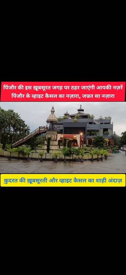 कुदरत की खूबसूरती और व्हाइट हाउस का शाही अंदाज़, नज़ारा दिल जीत लेगा
#pinjore #kalka #panchkula #haryana #HaryanaNews #News #HMT #HaryanaNewsUpdate