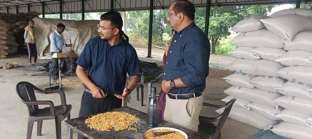 👉#धान खरीद की तैयारियां मुकम्मल, 188 केंद्रों पर आज से होगी खरीद
--#एमएसपी पर 2441 रुपये प्रति क्विंटल की दर से खरीदा जाएगा धान
--#अब तक 850 किसानों ने कराया ऑनलाइन पंजीकरण
शाहजहांपुर। किसानों का धान एमएसपी पर खरीदने के लिए जिला प्रशासन ने तैयारियां पूरी कर ली हैं। सोमवार आज से जिले के 188 क्रय केंद्रों पर धान खरीद शुरू कराई जाएगी। इसके लिए केंद्र प्रभारियों की नियुक्ति के साथ ही किसानों के लिए जरूरी सुविधाएं उपलब्ध कराने की प्रक्रिया पूरी कर ली गई है। जिला विपणन कार्यालय की ओर से सभी केंद्रों पर स्टेशनरी और बैनर भी उपलब्ध करा दिए गए हैं। इस बार सरकार ने धान का न्यूनतम समर्थन मूल्य 2441 रुपये प्रति क्विंटल निर्धारित किया है, जो पिछले वर्ष की तुलना में 72 रुपये अधिक है। धान खरीद के लिए किसानों का ऑनलाइन पंजीकरण जारी है। अब तक 850 किसान पंजीकरण करा चुके हैं। विभाग की ओर से किसानों से जल्द पोर्टल पर पंजीकरण कराने की अपील की गई है, ताकि केंद्रों पर धान बेचने के दौरान किसी तरह की परेशानी न हो। जिले की मंडियों में खरीद के लिए आरएफसी, पीसीएफ, पीसीयू, यूपीएसएस और एफसीआई के केंद्र बनाए गए हैं। हालांकि, धान में नमी अधिक होने के कारण शुरुआती दिनों में सरकारी केंद्रों पर खरीद प्रभावित होने की आशंका है। ऐसे में किसानों से अपील की गई है कि धान को साफ करके और सूखाकर ही केंद्रों पर लाए, जिससे कि दिक्कतें न आए। बता दें कि अभी तक जो नमी आ रही है, वो 24-25 है। जबकि सरकारी केंद्रों पर 17 प्रतिशत नमी वाला धान ही खरीदा जाएगा
---------------------------
जनपद में क्रय केंद्र :
- आरएफसी: 39 केंद्र
- पीसीएफ: 50 केंद्र
- पीसीयू: 53 केंद्र
- यूपीएसएस: 39 केंद्र
- एफसीआई: 7 केंद्र
कुल क्रय केंद्र : 188
---------------------
850 किसानों का पंजीकरण पूरा
धान खरीद के लिए अब तक 850 किसान ऑनलाइन पंजीकरण करा चुके हैं। पंजीकरण की प्रक्रिया जारी है। विभाग ने किसानों से पोर्टल पर जल्द पंजीकरण कराने की अपील की है, ताकि सरकारी केंद्रों पर धान बेचने में परेशानी न हो।
----------------------------
किसानों की सुविधा के दृष्टिगत क्रय केंद्रों पर सभी सुविधाएं मुकम्मल कर ली गई है। एक दो दिन जो भी कमियां रह जाएगी, उनको दूर करा दिया जाएगा। 188 धान क्रय केंद्र स्थापित किए गए हैं, सभी केंद्र प्रभारियों को नियुक्त करते हुए स्टेशनरी, बैनर उपलब्ध करा दिए गए हैं। अब तक 850 किसानों के आनलाइन पंजीकरण हो चुके हैं, जल्द से जल्द किसान अपना पोर्टल पर पंजीकरण करा ले। जिससे कि उनको मंडी आने पर कोई दिक्कत का सामना न करना पड़ा।
-- डिप्टी आरएमओ राकेश मोहन पाण्डेय
किसानों की उपज सरकारी रेटों पर क्रय किए जाने के लिए 188 क्रय केन्द्र स्थापित किए गए हैं।
12 अक्टूबर से धान खरीद के लिए तैयारियां मुकम्मल करा ली गई है। एमएसपी पर धान खरीद के लिए किसान लोग अपना पोर्टल पर रजिस्ट्रेशन करा ले। जिससे कि उनको कोई दिक्कत न आए। किसानों की सुविधा को लेकर कन्ट्रोल रुम स्थापित किया गया है।
- -जिला खरीद अधिकारी रजनीश कुमार मिश्रा
DM Shahjahanpur Prabhakar Mishra
#dhankharidikendra आपका अपना शहर Aapka Apna Shahar Shahjahanpur Cdo
