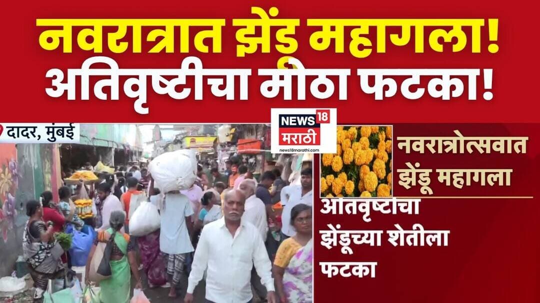 Dadar News | ऐन नवरात्रोत्सवात झेंडू महागला, अतिवृष्टीचा झेंडूच्या शेतीला फटका