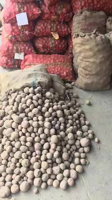 लाल आलू का भाव निचे से ऊपर तक किसानों को कौन सा आलू अभी बेचना चाहिए