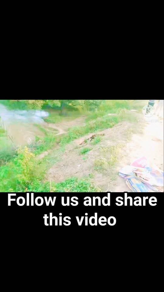 गिधौड़ा सिंचाई तालाब की मेड़ में सुराख से मचा हड़कंप, गांवों की ओर बढ़ने लगा पानी!
5 साल से बनी समस्या पर विभागीय मरम्मत के नाम पर खानापूर्ति का आरोप,
#गिधौड़ा_सिंचाई_तालाब #गिधौड़ा #रोहनिया #पन्ना_न्यूज #शाहनगर #जलसंसाधनविभाग #WRD #सिंचाई_तालाब #बांध_की_सुरक्षा #ग्रामीणों_की_समस्या #प्रशासनिक_लापरवाही #स्थायी_समाधान #BreakingNews #PannaNews #GajendraSinghRathore