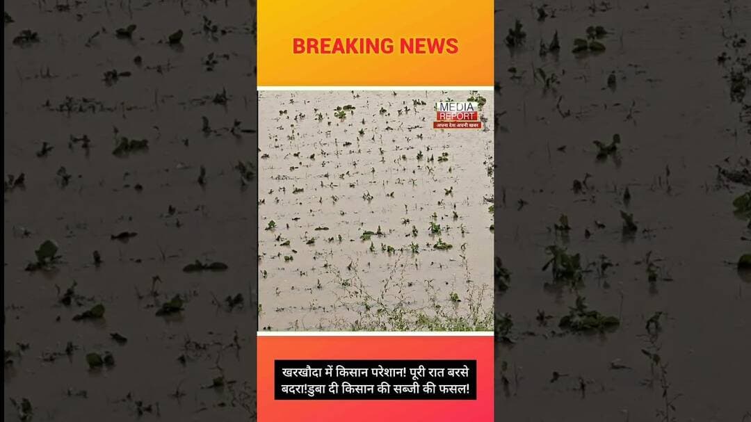 खरखौदा में किसान परेशान! पूरी रात बरसे बदरा!डुबा दी किसान की सब्जी की फसल! #kkdnews #kkdnewslive