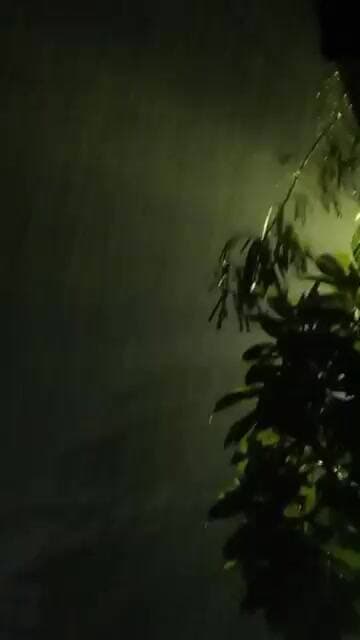 Delhi में तेज हवाओं के साथ सोमवार की सुबह मूसलाधार बारिश की वजह से तापमान में आई गिरावट #Rain #Live