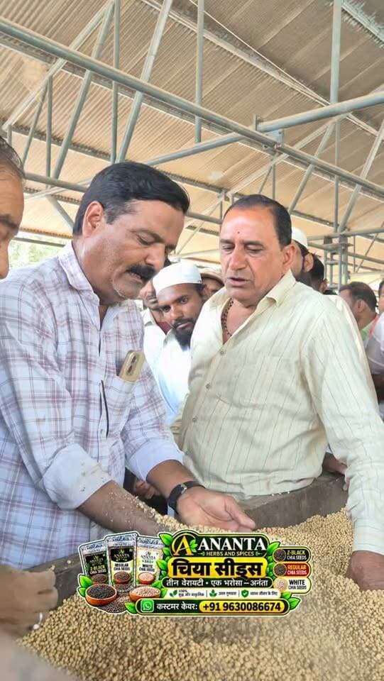 12 अक्टूबर 2026 | मंडी भाव | कृषि उपज मंडी खातेगांव, जिला-देवास (म.प्र.) Khategaon Mandi • मंडी भाव