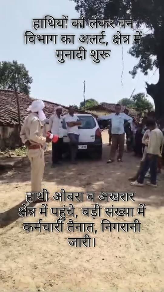 💥 ग्रामीण बसाहट क्षेत्र में जंगली हाथियों की मूवमेंट, वन विभाग अलर्ट
चंदिया तहसील अंतर्गत ग्राम जोगिन में मुनादी कर ग्रामीणों को सतर्क किया जा रहा है। वहीं जंगली हाथियों के ओबरा व अखरार क्षेत्र में पहुंचने के बाद वन विभाग की टीम ने निगरानी बढ़ा दी है। मौके पर बड़ी संख्या में कर्मचारी तैनात हैं। ग्रामीणों से सतर्क रहने और हाथियों से सुरक्षित दूरी बनाए रखने की अपील की गई है।
#Umaria #ElephantAlert #WildElephants #ElephantMovement #ForestDepartment Chandia Jobin Obra Akhrar MadhyaPradesh UmariaNews JournalistDeepak
