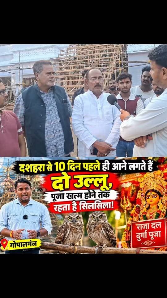 गोपालगंज में माता रानी का अद्भुत नजारा! दशहरा से 10 दिन पहले आने लगते हैं दो उल्लू