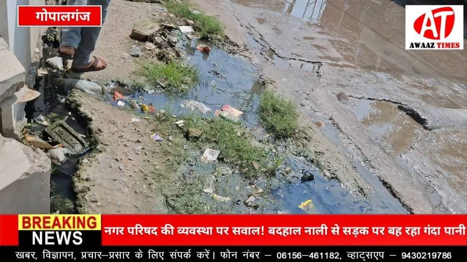 गोपालगंज: सड़क पर नाली का गंदा पानी, इसी रास्ते मंदिर जा रही महिलाएं! वार्ड 13 की समस्या कब होगी दूर?
#Gopalganj #Ward13 #NagarParishad #GopalganjNews #PublicIssues #GroundReport #PublicProblem #AwaazTimes
