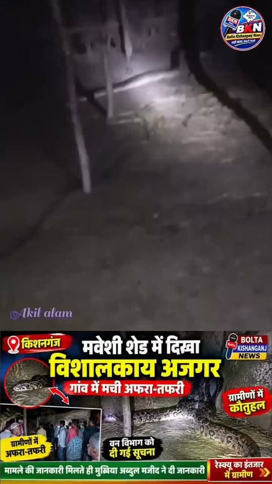 दिघलबैंक में मवेशी शेड में निकला विशालकाय अजगर! गांव में मचा हड़कंप
#Kishanganj #pythonsnake #BreakingNews #boltakishanganjnews #BiharNews #ViralVideo #foryouシ