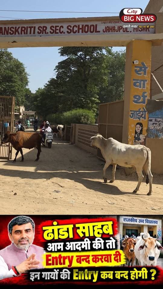 शिक्षा मंत्री महिपाल ढांडा जी आम आदमी की Entry तो बन्द करवा दी इन गायों की Entry कब बन्द होगी !!
ये कोई गौशाला नहीं, सरकारी स्कूल है! जहां बच्चों को पढ़ना चाहिए, वहां आवारा गायें घूम रही हैं! आखिर जिम्मेदार कौन?
.
.
.
.
#haryana #news #updates #schools #bjp #govt