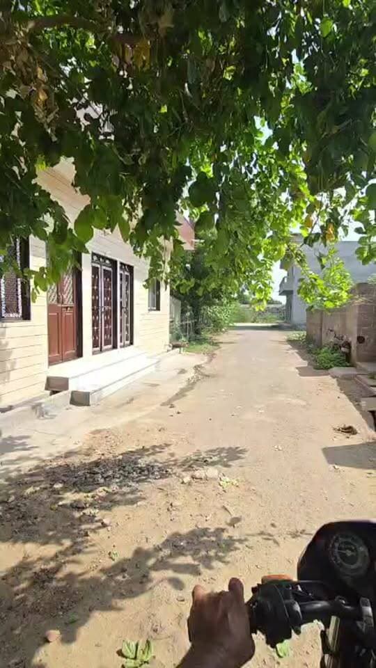 एक युवक जो पूरे मोहल्ले के लिए सर दर्द बन चुका है
