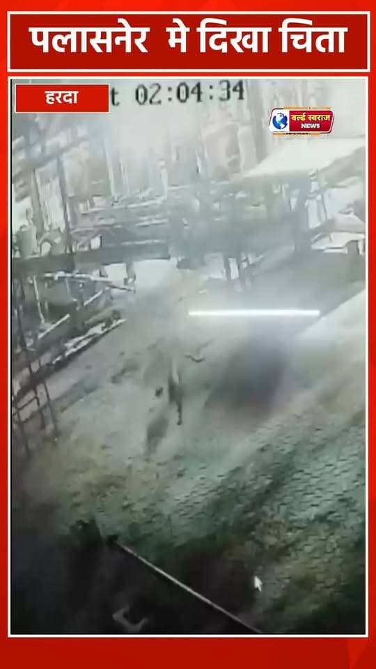 рдкрд▓рд╛рд╕рдиреЗрд░ рдореЗ рджрд┐рдЦрд╛ рдЪрд┐рддрд╛ #shortvideo #viralr├л├лls #shortvideofbreels #viralvideos #madhyapradesh #shortshorts #MadhyaPradesh #shortvideoviralreels #viralvi #vira┼Вreels #viralreel #HARDA #рдордзреНрдпрдкреНрд░рджреЗрд╢тЭгя╕П #viralreels #trand #h├еrda #рд╣рд░рджрд╛_рдордзреНрдпрдкреНрд░рджреЗрд╢тЭгя╕П #рд╣рд░рджрд╛_рдордзреНрдпрдкреНрд░рджреЗрд╢ #h├еrdaklappar #reel
