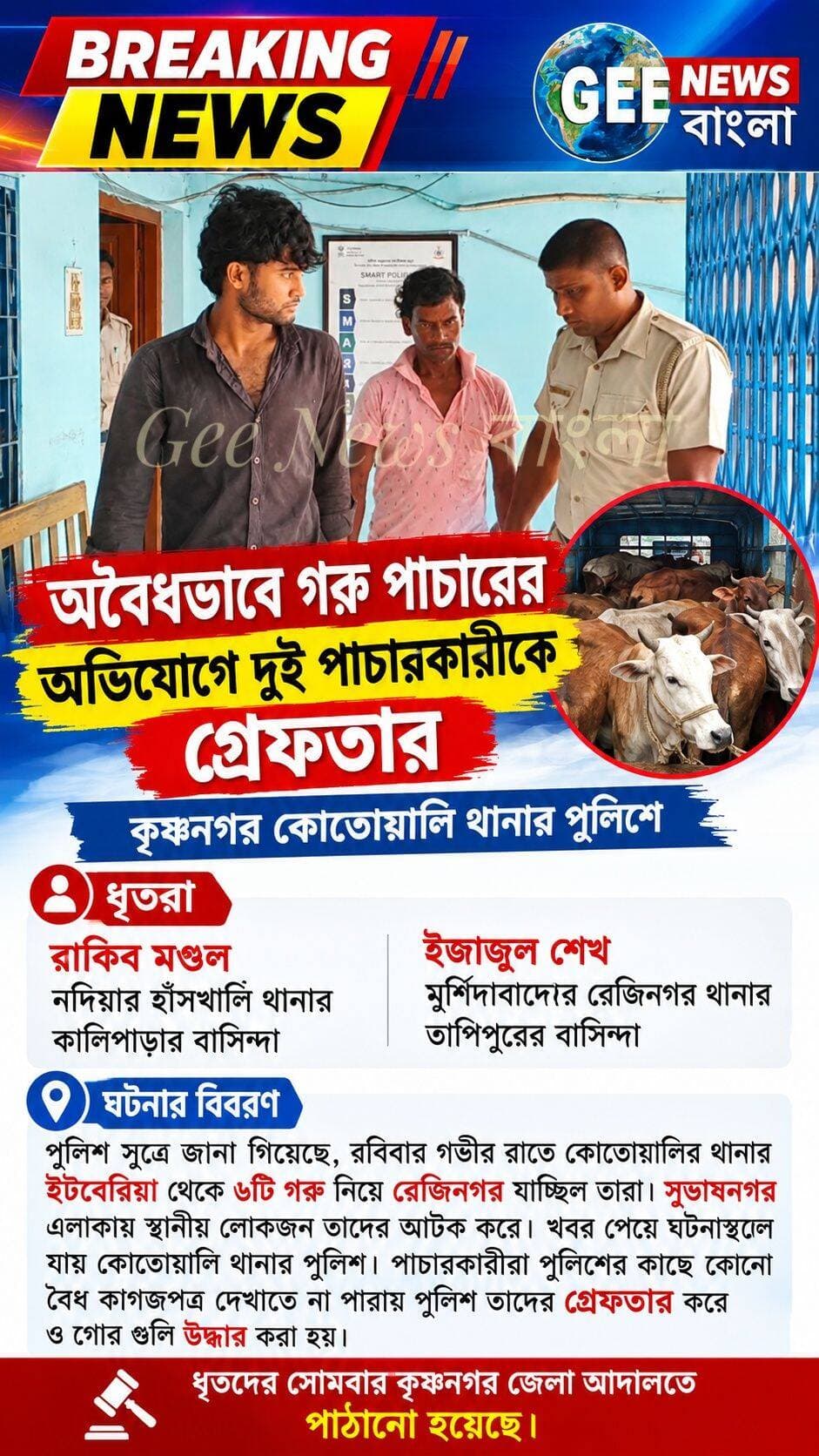 গরু পা/চারের অভিযোগে কোতোয়ালি থানার পুলিশের জালে ২ পা/চা/রকারী