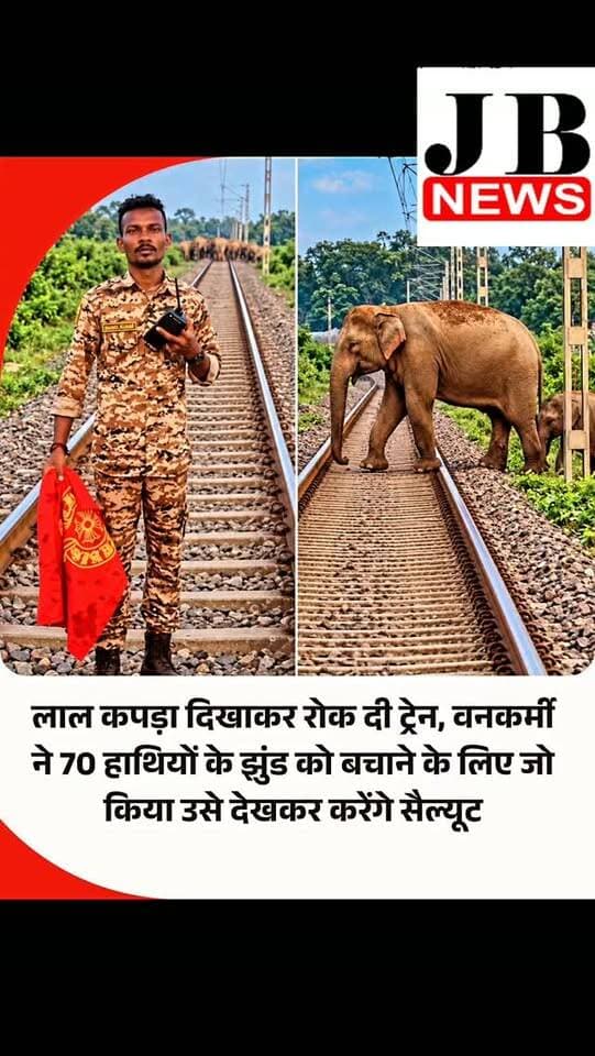 कभी-कभी एक छोटी-सी सूझबूझ दर्जनों जिंदगियां बचा लेती है। उत्तर बंगाल के नक्सलबाड़ी में ऐसा ही नजारा देखने को मिला, जब रेलवे ट्रैक की ओर बढ़ रहे करीब 70 जंगली हाथियों के झुंड पर ट्रेन की चपेट में आने का खतरा मंडराने लगा। इसी दौरान कुर्सियांग वन विभाग के वनकर्मी आकाश केरकेट्टा ने जो किया, उससे संभावित बड़ा हादसा टल गया।
जानकारी के मुताबिक, हाथियों का झुंड नक्सलबाड़ी इलाके में पहुंचा था। इसमें नर और मादा हाथियों के साथ कई बच्चे भी शामिल थे। हाथियों ने पहले नेशनल हाईवे पार किया। उन्हें सुरक्षित रास्ता पार कराने के लिए प्रशासन और वन विभाग ने कुछ समय के लिए वाहनों की आवाजाही रोक दी थी।