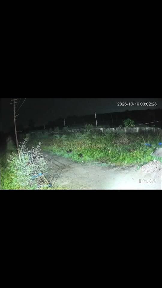 Rudrpur:- गुलदार ने कुत्ते का क्या शिकार, इलाके में दहशत.... खबर का लिंक कमेंट बॉक्स में