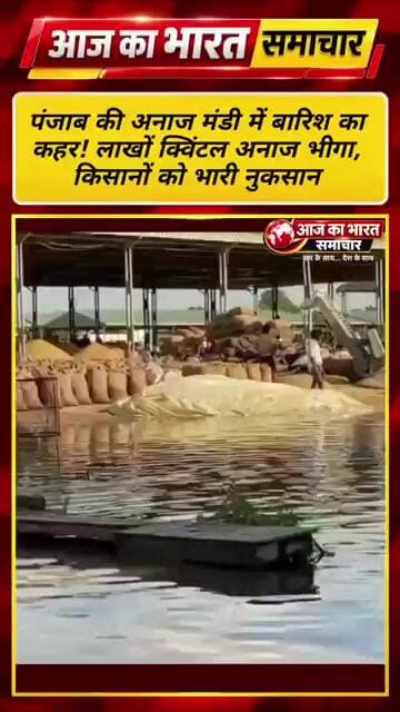 पंजाब की अनाज मंडी में बारिश का कहर! लाखों क्विंटल अनाज भीगा, :#PunjabNews #Fazilka #अनाजमंडी #news