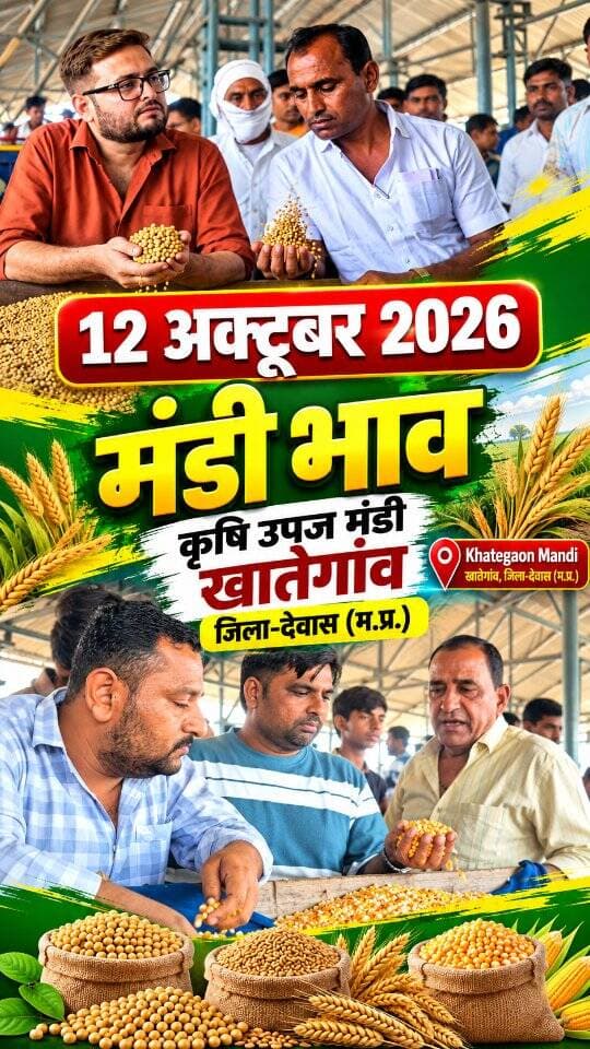 12 अक्टूबर 2026 | मंडी भाव | कृषि उपज मंडी खातेगांव, जिला-देवास (म.प्र.) Khategaon Mandi • मंडी भाव #mandibhav #khategaonmandi #agriculturenews khategaonwaale.com