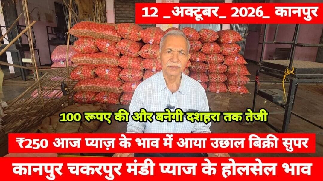 12 October 2026 कानपुर प्याज़ के भावonionreport kanpur #onionmarket kanpur onionmarket price #onion