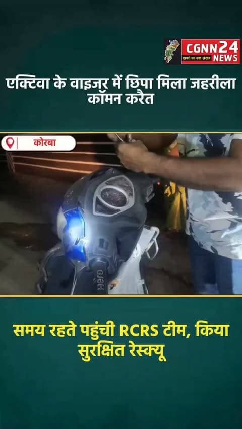 कोरबा: पोड़ीबहार इलाके में एक्टिवा के वाइजर में छिपा मिला जहरीला कॉमन करैत, RCRS टीम ने किया सुरक्षित रेस्क्यू