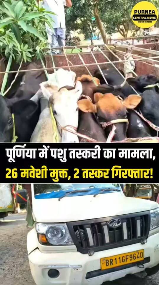 पूर्णिया में पशु तस्करी पर पुलिस का एक्शन, 5 वाहन जब्त, 26 मवेशी मुक्त और 2 आरोपी गिरफ्तार!
#Purnia #PurneaCentralNews #BiharPolice #AnimalSmuggling #K Nagar #PurniaNews #BreakingNews #BiharNews #PoliceAction #LatestNews