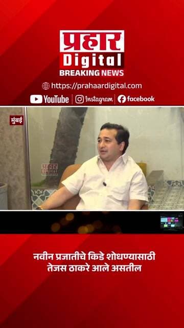 नवीन प्रजातीचे किडे शोधण्यासाठी तेजस ठाकरे आले असतील