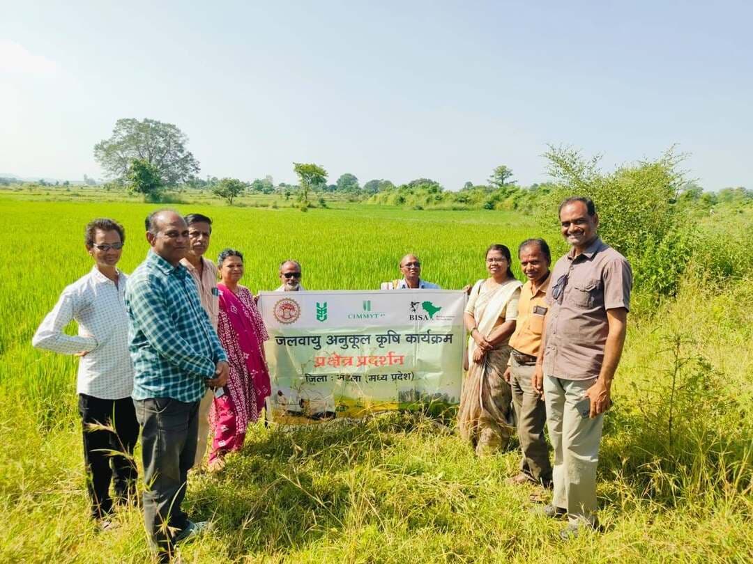 नैनपुर के भड़िया में डीएसआर खेतों का निरीक्षण
जल संरक्षण और लागत में कमी पर जोर
मध्यप्रदेश शासन एवं बोरलॉग इंस्टीट्यूट फॉर साउथ एशिया के संयुक्त तत्वावधान में संचालित जलवायु अनुकूल कृषि कार्यक्रम के तहत नैनपुर विकासखंड के ग्राम भड़िया में धान की सीधी बुवाई प्रदर्शन प्रक्षेत्रों का संयुक्त निरीक्षण किया गया।
निरीक्षण दल में वरिष्ठ कृषि विकास अधिकारी श्रीमती पंचशीला वरकड़े, कृषि विस्तार अधिकारी सुश्री सरोज बरवे तथा बीसा के तकनीकी सहायक श्री शुभांक दीक्षित शामिल रहे। दल ने कृषक श्री यशवंत राय एवं श्री फूल सिंह डहेरिया के खेतों में फसल की बढ़वार, कल्ले निकलने, जड़ों के विकास और मृदा स्वास्थ्य का अवलोकन किया। साथ ही किसानों को खरपतवार नियंत्रण, फसल संरक्षण और संतुलित पोषक तत्व प्रबंधन की जानकारी दी गई।
किसानों ने बताया कि डीएसआर तकनीक से नर्सरी तैयार करने और रोपाई के लिए मजदूरों की आवश्यकता कम हुई है। साथ ही सिंचाई के पानी, डीजल, समय और श्रम की बचत हो रही है। वरिष्ठ कृषि विकास अधिकारी श्रीमती वरकड़े ने कहा कि डीएसआर पद्धति खेती की लागत घटाने, प्राकृतिक संसाधनों का संरक्षण करने और बदलती जलवायु परिस्थितियों के अनुरूप कृषि को सक्षम बनाने में उपयोगी है। यह पहल किसानों को वैज्ञानिक एवं जलवायु अनुकूल खेती अपनाने के लिए प्रोत्साहित कर रही है।
Jansampark Madhya Pradesh
CM Madhya Pradesh
#mandla
Department of Agriculture, Madhya Pradesh